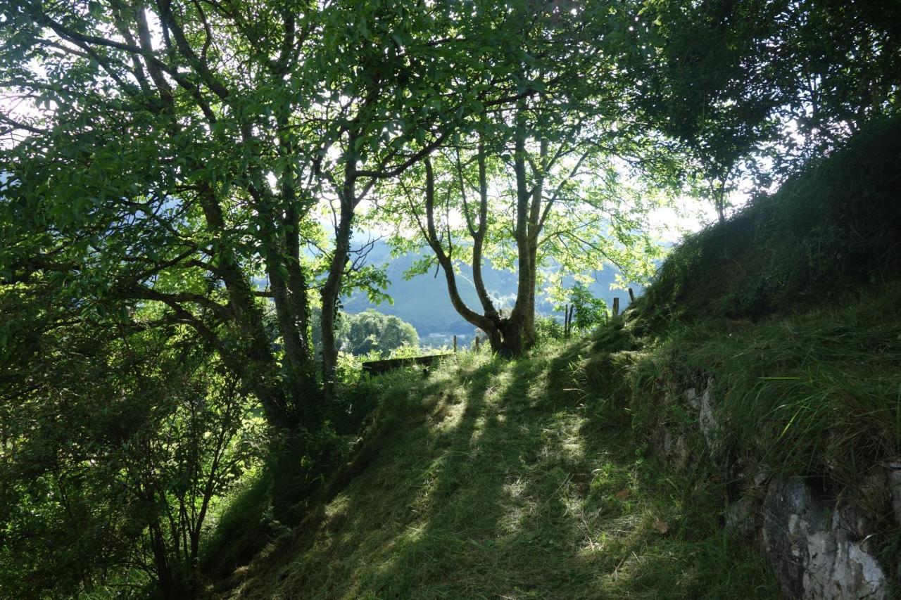 Gite Montagne Et Vie Bedous Экстерьер фото